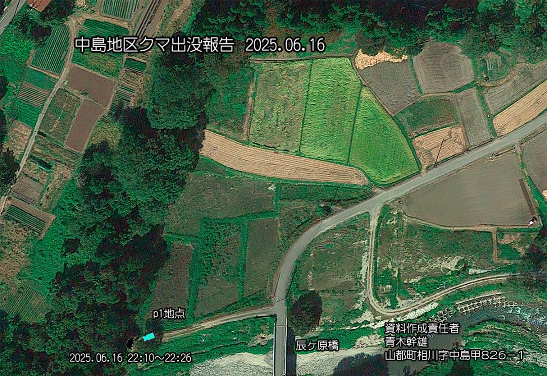 獣害対策