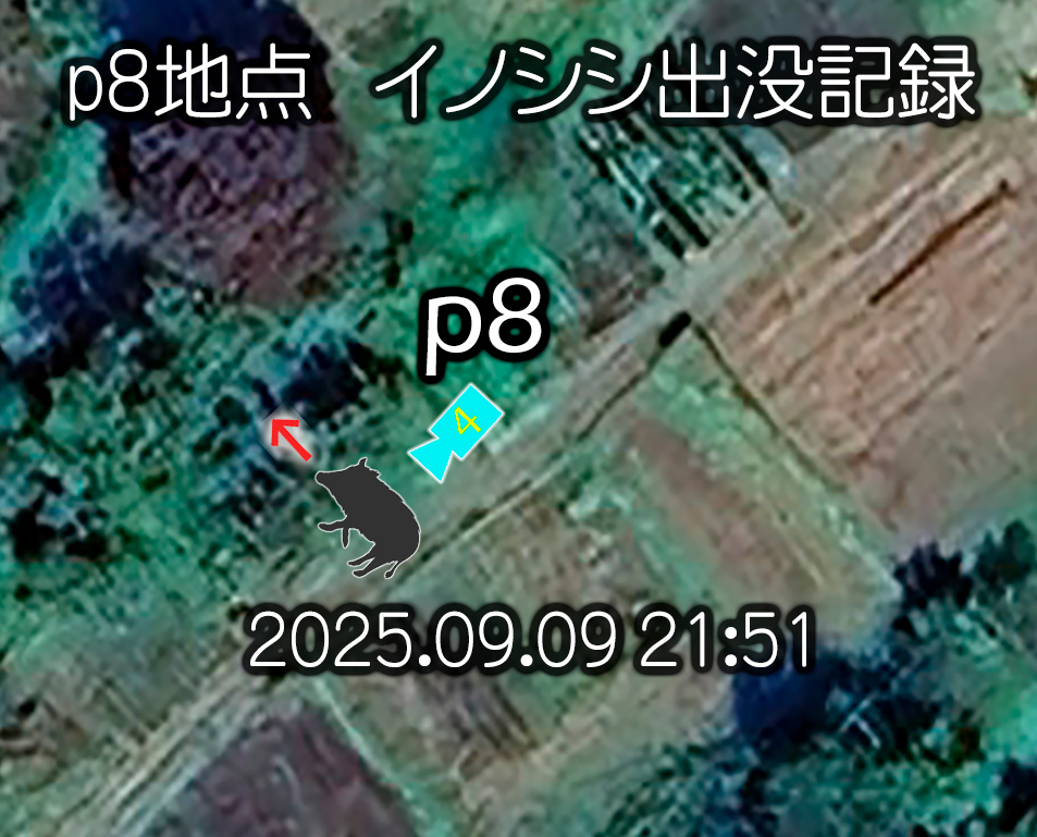 獣害対策